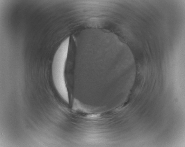 X0000068740080200605192356