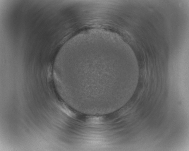 X0000068740081200605192356