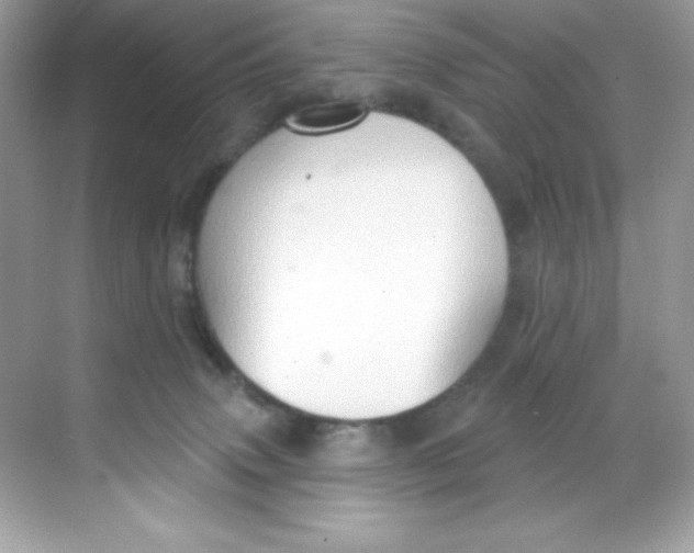 X0000068740083200605192356