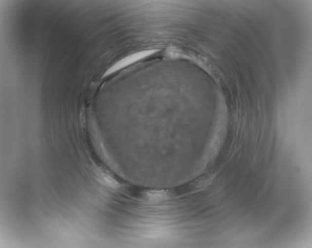 X0000068740085200605192356