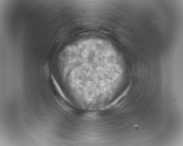 X0000068740086200605192356