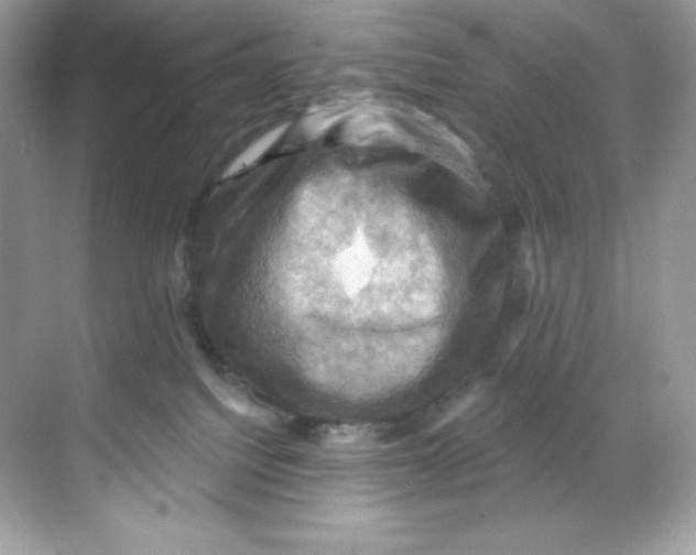 X0000068740088200605192356