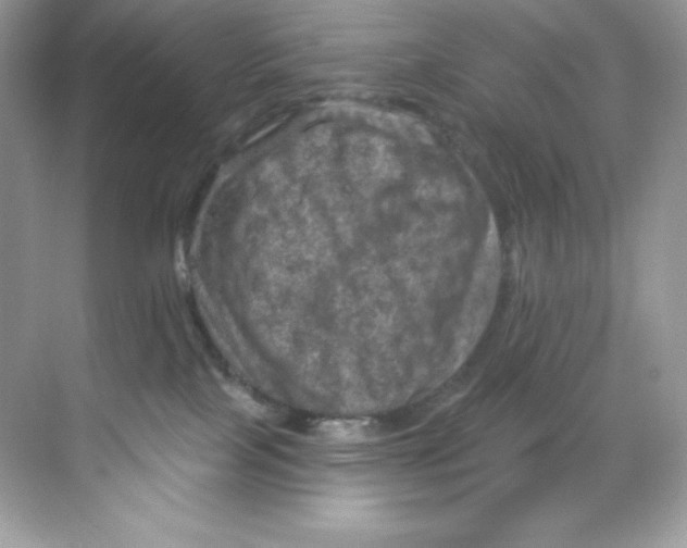 X0000068740089200605192356