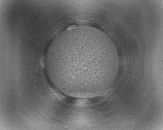 X0000068740090200605192356