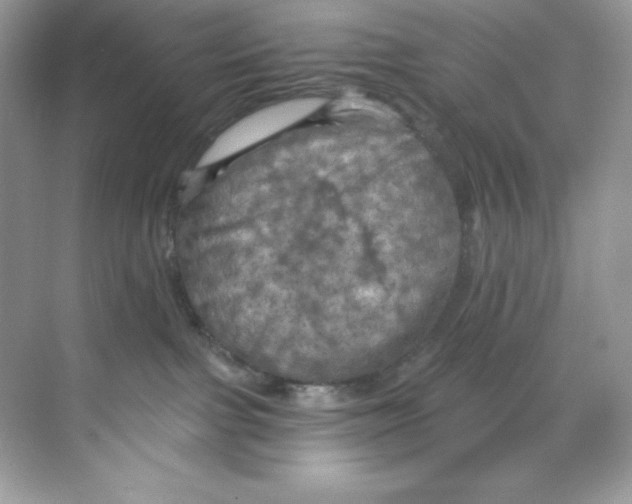 X0000068740091200605192356