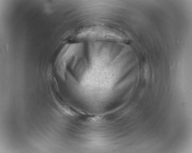 X0000068740092200605192356