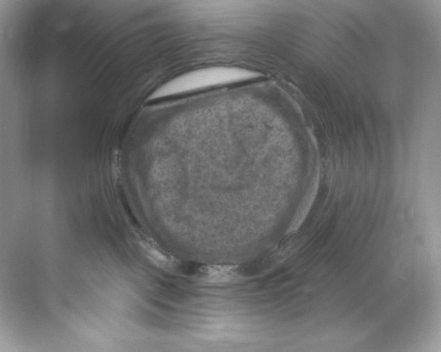 X0000068740093200605192356