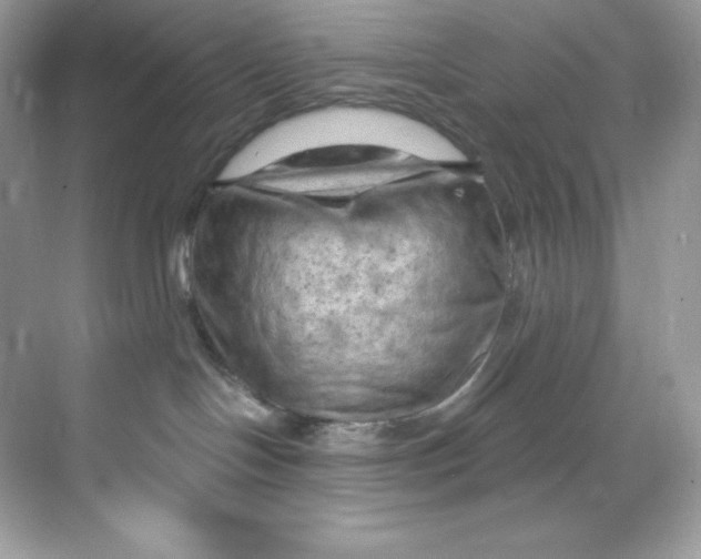 X0000068740094200605192356