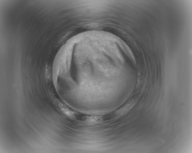 X0000068740096200605192356