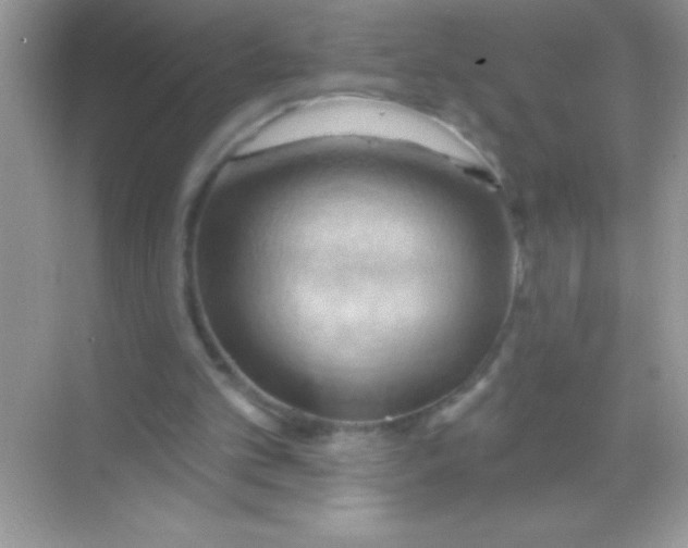 X0000068740101200605192355