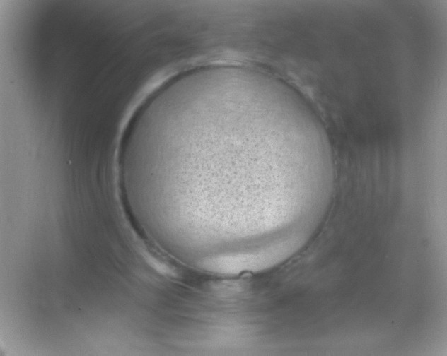 X0000068740102200605192355