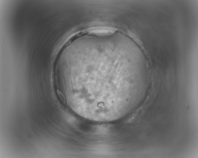 X0000068740103200605192355