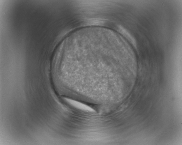 X0000068740107200605192355