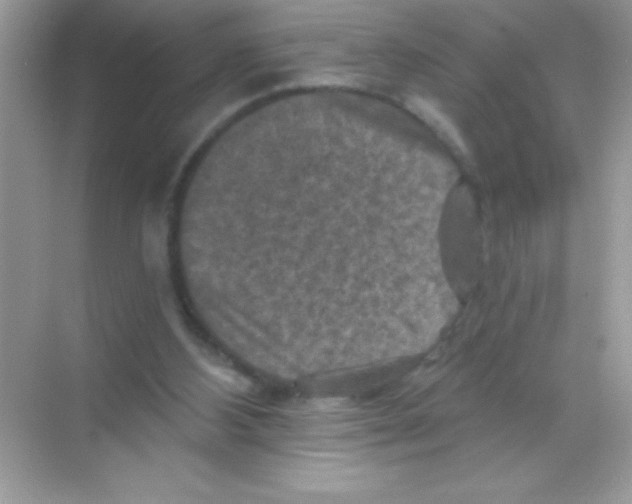 X0000068740108200605192355