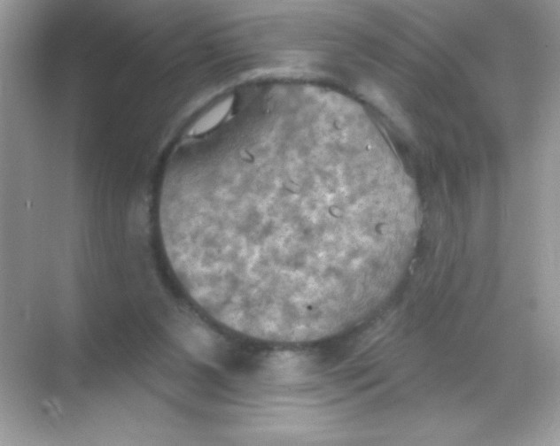 X0000068740111200605192355