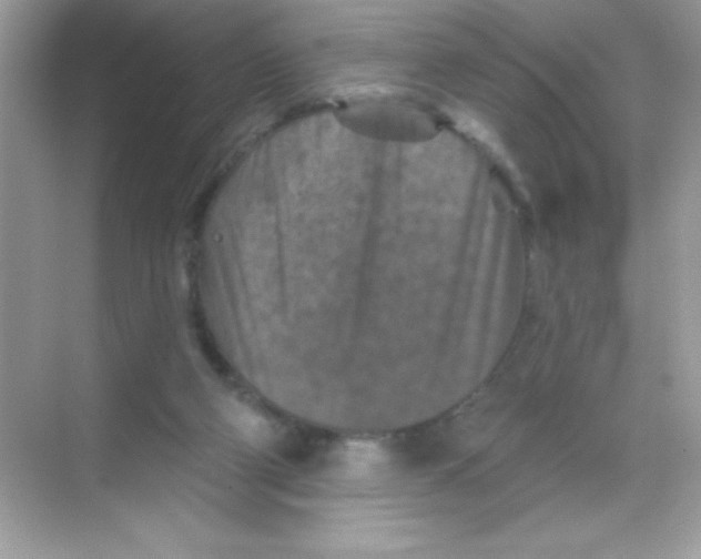 X0000068740114200605192355