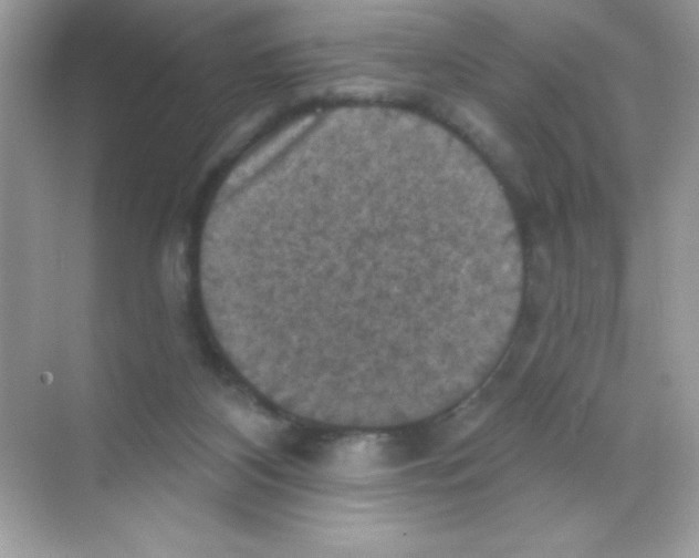 X0000068740116200605192355