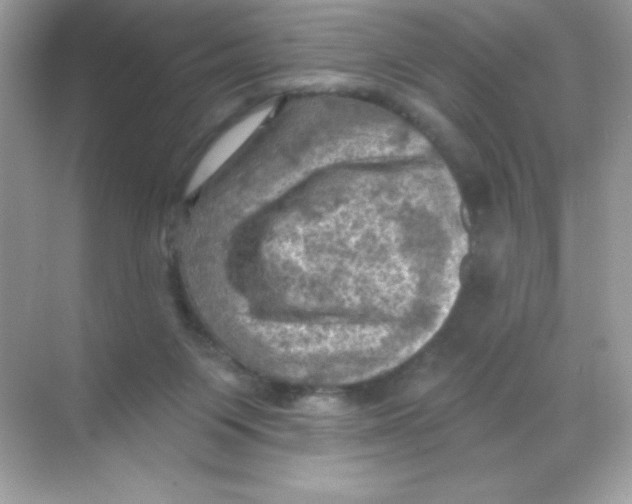 X0000068740119200605192355