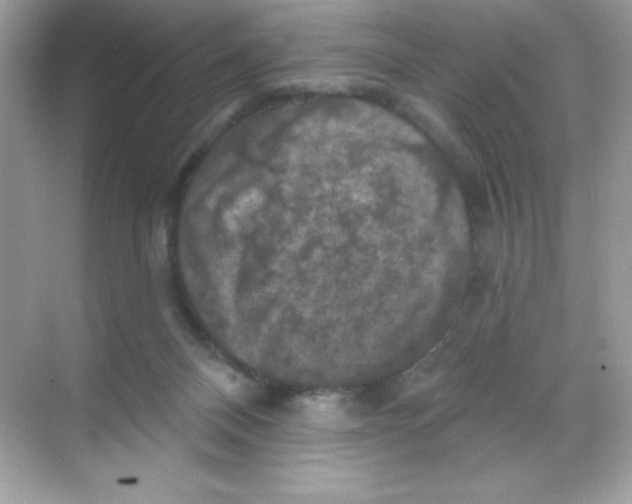 X0000068740120200605192355