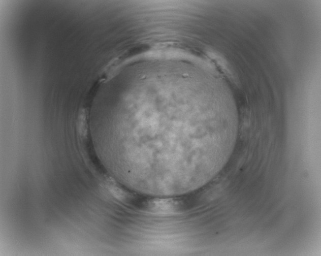 X0000068740121200605192355