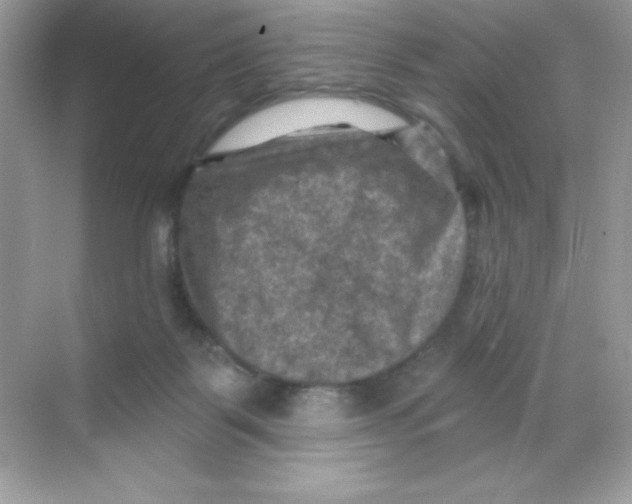 X0000068740123200605192355