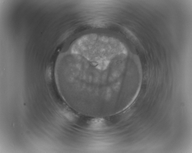 X0000068740124200605192355