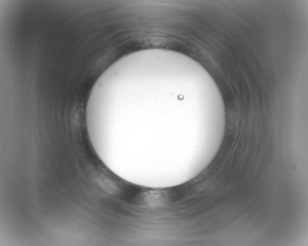 X0000068740126200605192355