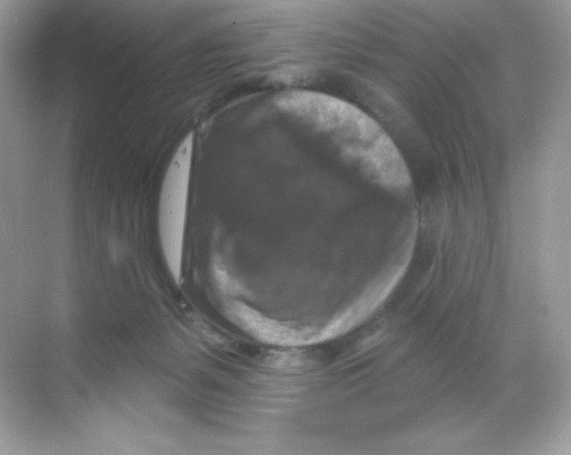 X0000068740127200605192355