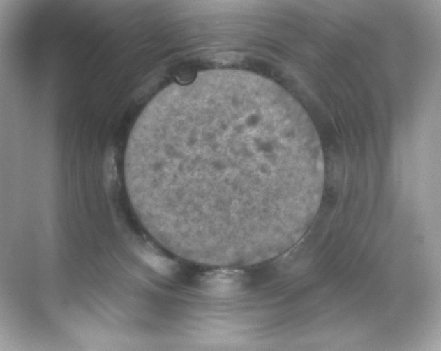 X0000068740128200605192355