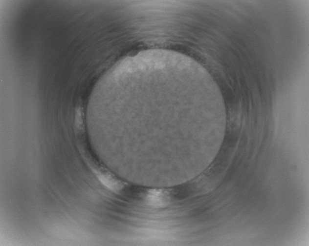 X0000068740130200605192355