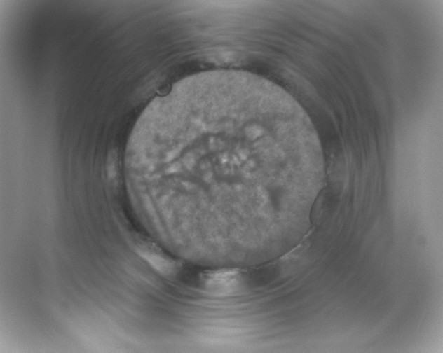 X0000068740132200605192355