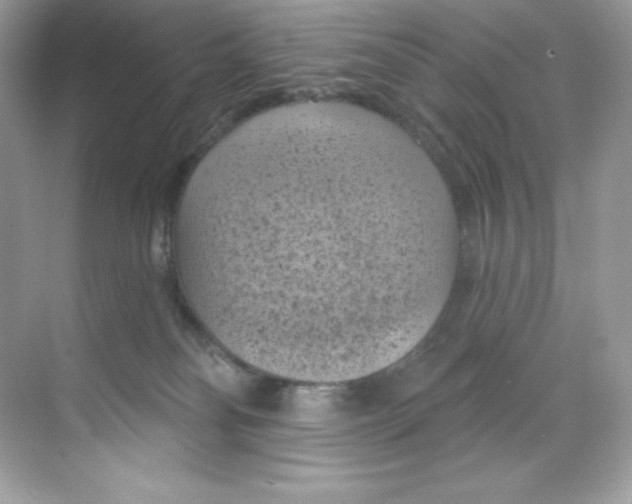 X0000068740134200605192355