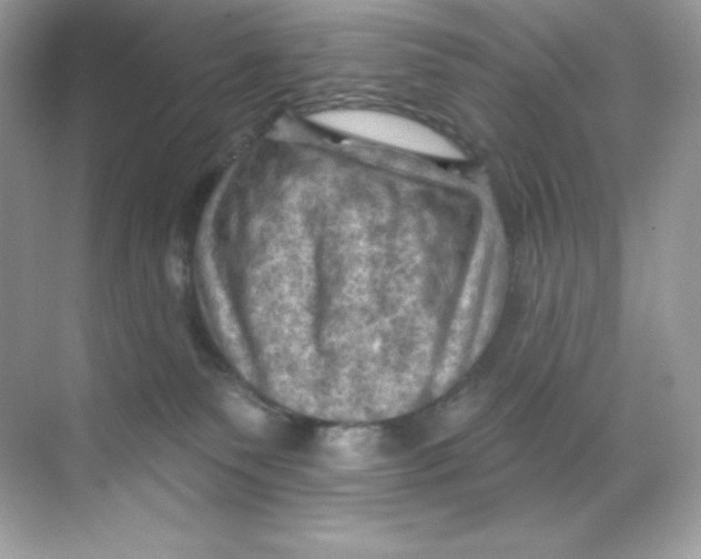 X0000068740135200605192355