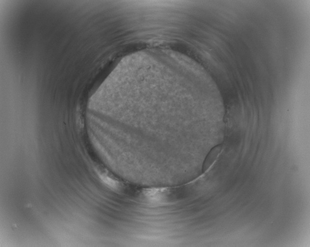 X0000068740136200605192355