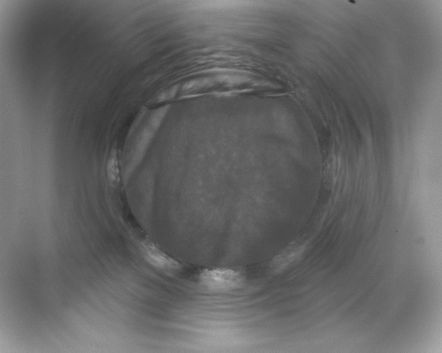 X0000068740137200605192355