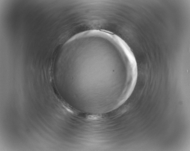 X0000068740139200605192355