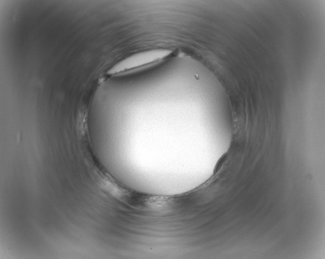 X0000068740142200605192354