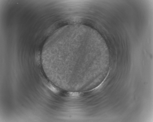 X0000068740144200605192354