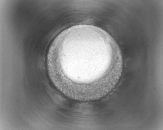 X0000068740146200605192354