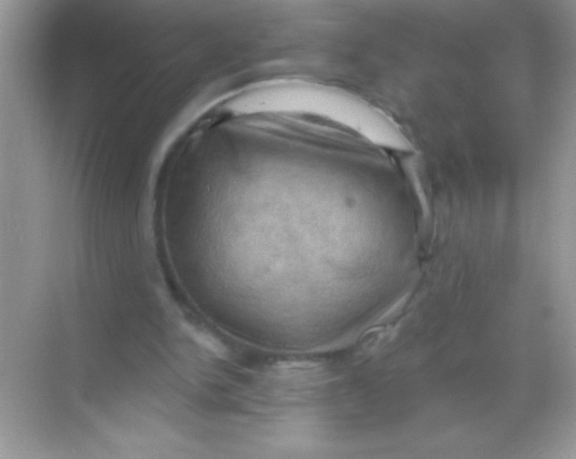 X0000068740150200605192354