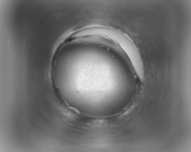 X0000068740152200605192354