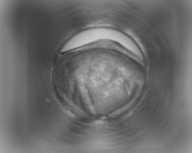 X0000068740153200605192354