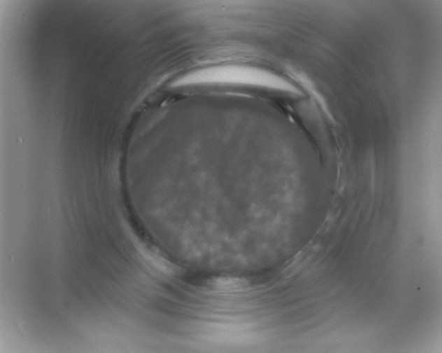 X0000068740154200605192354