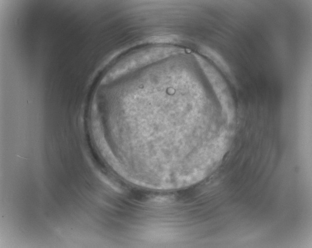 X0000068740155200605192354