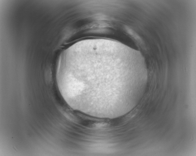 X0000068740158200605192354