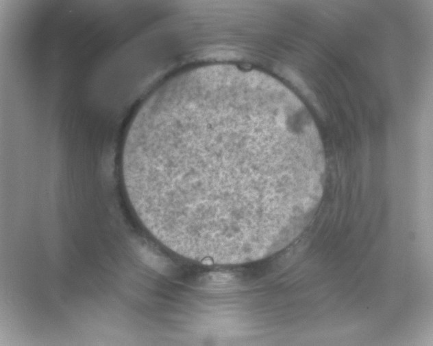 X0000068740159200605192354