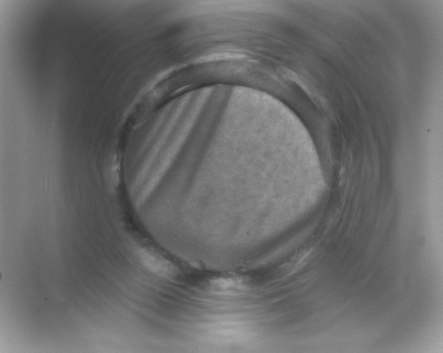 X0000068740160200605192354