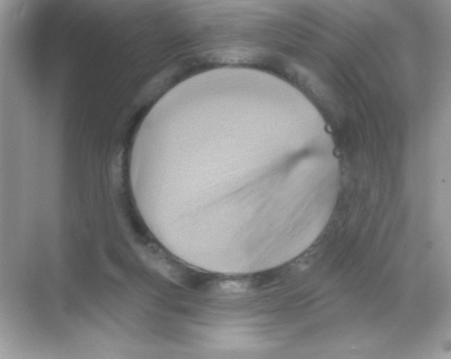 X0000068740163200605192354