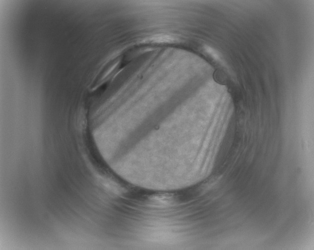 X0000068740164200605192354