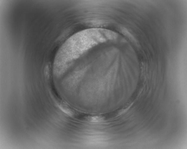 X0000068740165200605192354